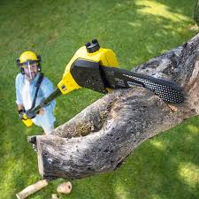 Best Lawn Watering Services  in Bartlesville, OK
