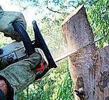 Best Tree Removal  in Bartlesville, OK