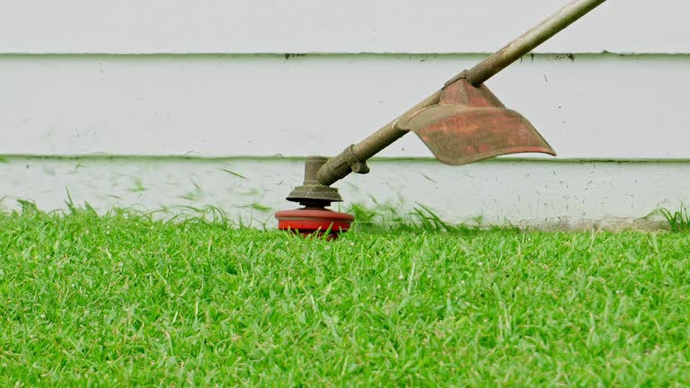 Best Storm Damage Tree Cleanup  in Bartlesville, OK