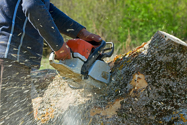 Best Firewood Processing and Delivery  in Bartlesville, OK